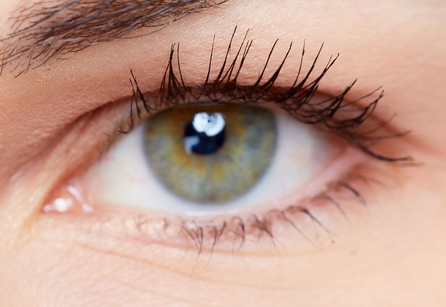 Clear Vision: 5 Ways to Maintain Healthy Eyes • Best In ...