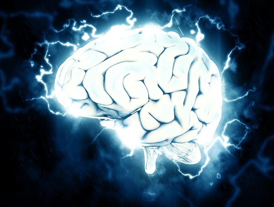Seizure Symptoms: 5 Warning Signs of Epilepsy