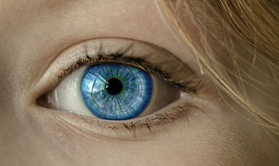 Don’t Take Vision for Granted: How to Keep Your Eyes in Excellent Health